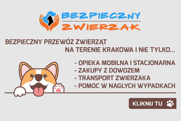 Bezpieczny Zwierzak, bezpieczny przewóz zwierząt na terenie Krakowa, baner partnera