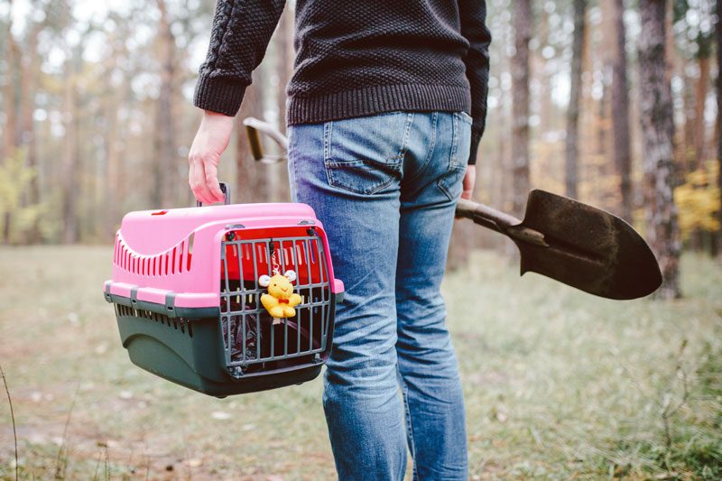 Osoba z transporterem i łopatą w lesie, samodzielny pochówek zwierzęcia jest zabroniony